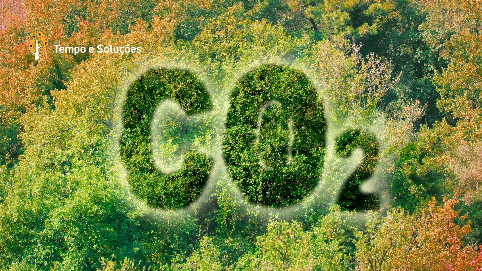 embalagem com selo de CO₂